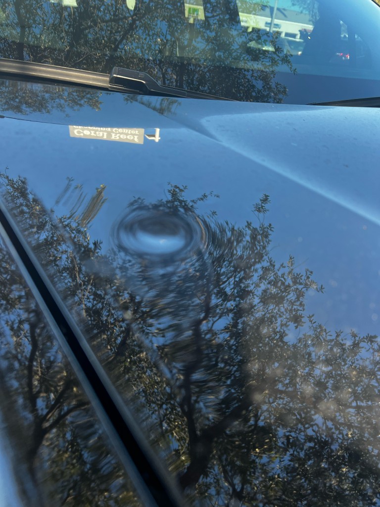 Medium dent example showing reflection distortion on a dark car hood